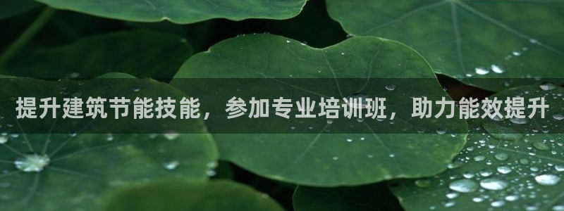 e尊国际地址：提升建筑节能技能，参加专业培训班，助力能效提升
