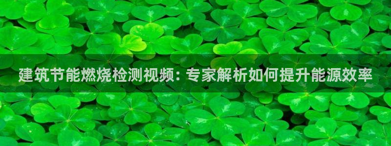 e尊国际网址：建筑节能燃烧检测视频: 专家解析如何提升能源效率
