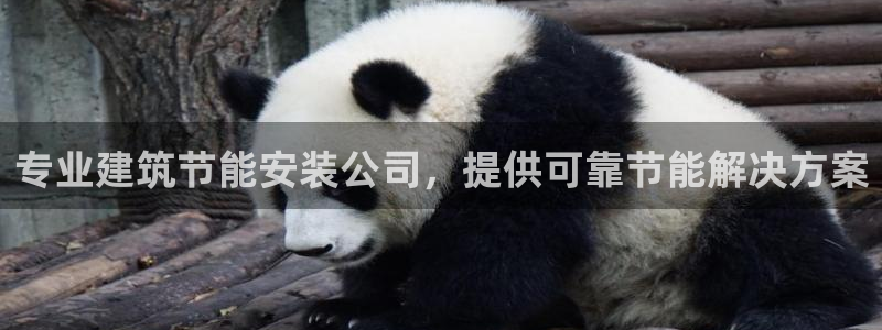 e尊国际-可可计划：专业建筑节能安装公司，提供可靠节能解决方案