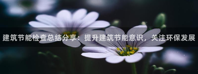 e尊国际平台：建筑节能检查总结分享：提升建筑节能意识，关注环保发展