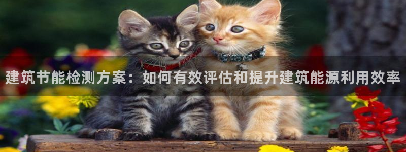 尊亿游戏国际官网：建筑节能检测方案：如何有效评估和提升建筑能源利用效率