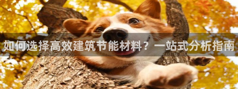 e尊国际的手机登录网站：如何选择高效建筑节能材料？一站式分析指南