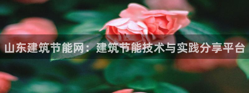 e尊国际-可可计划：山东建筑节能网：建筑节能技术与实践分享平台