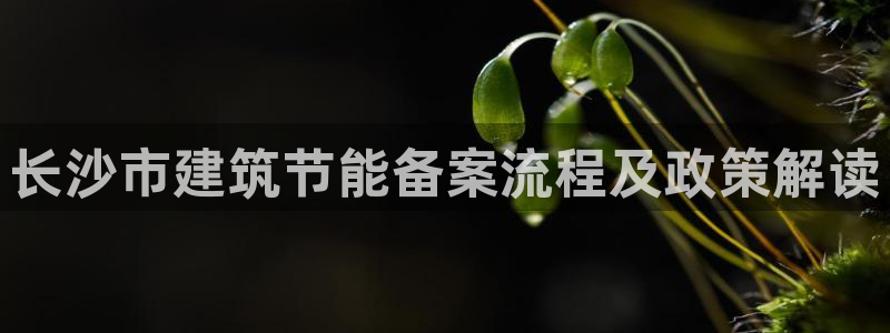e尊国际官网·网址：长沙市建筑节能备案流程及政策解读