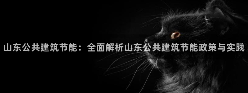 e尊官网：山东公共建筑节能：全面解析山东公共建筑节能政策与实践