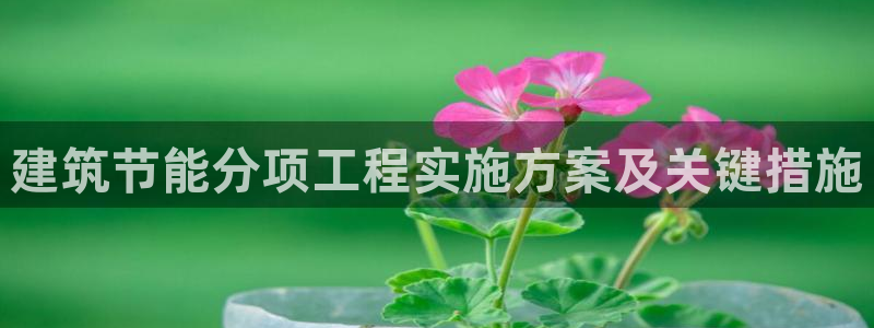 e尊国际客服：建筑节能分项工程实施方案及关键措施