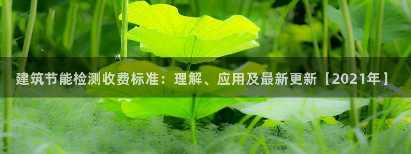 e尊国际官网app：建筑节能检测收费标准：理解、应用及最新更新【2021年】