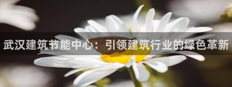 E尊国际网站