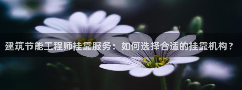 e尊国际平台：建筑节能工程师挂靠服务：如何选择合适的挂靠机构？