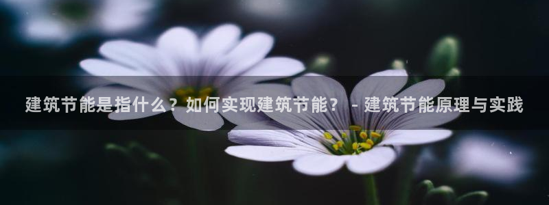 e尊国际-e尊国际官网：建筑节能是指什么？如何实现建筑节能？ - 建筑节能原理与实践