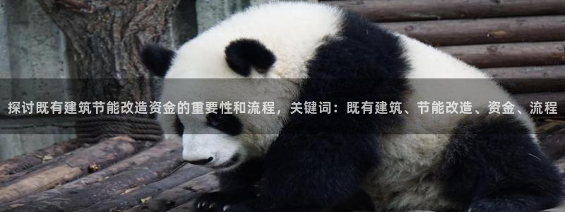 E尊国际网站：探讨既有建筑节能改造资金的重要性和流程，关键词：既有建筑、节能改造、资金、流程