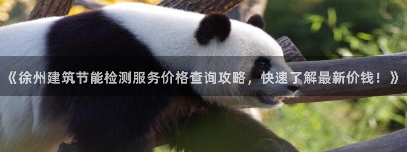 e尊国际官网·网址：《徐州建筑节能检测服务价格查询攻略，快速了解最新价钱！》