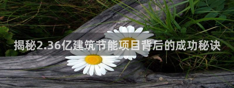 e尊国际网址：揭秘2.36亿建筑节能项目背后的成功秘诀