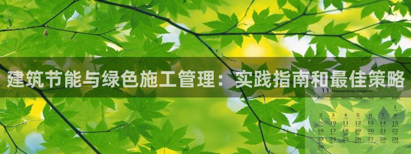 e尊国际官网：建筑节能与绿色施工管理：实践指南和最佳策略