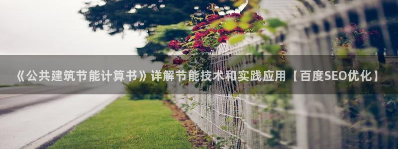 e尊国际官网app：《公共建筑节能计算书》详解节能技术和实践应用【百度SEO优化】