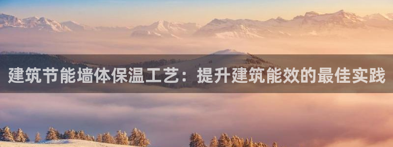 e尊国际是干什么的：建筑节能墙体保温工艺：提升建筑能效的最佳实践