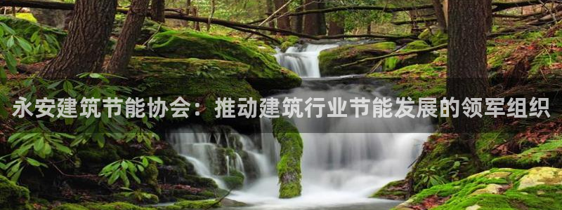 e尊国际官网·网址：永安建筑节能协会：推动建筑行业节能发展的领军组织