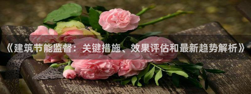 e尊国际是干什么的：《建筑节能监督：关键措施、效果评估和最新趋势解析》