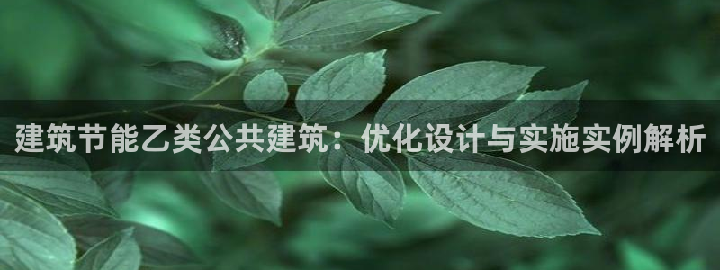 e尊国际娱乐官网下载：建筑节能乙类公共建筑：优化设计与实施实例解析
