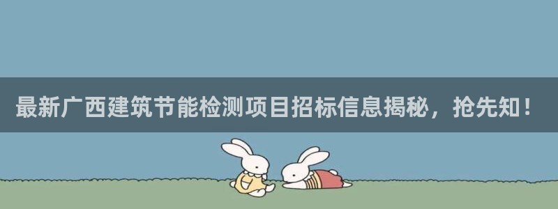 e尊国际官方网站：最新广西建筑节能检测项目招标信息揭秘，抢先知！