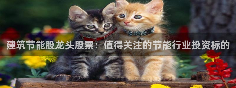e尊国际网址：建筑节能股龙头股票：值得关注的节能行业投资标的