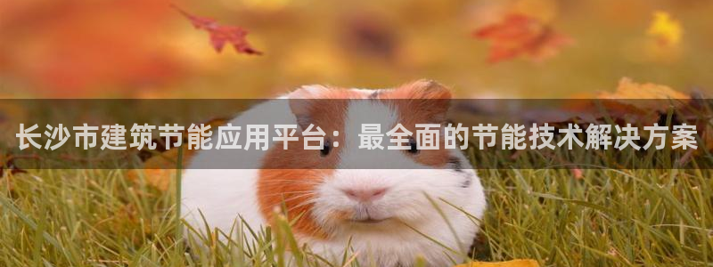 e尊国际地址：长沙市建筑节能应用平台：最全面的节能技术解决方案