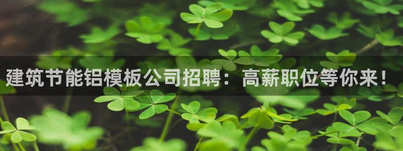 e尊电竞：建筑节能铝模板公司招聘：高薪职位等你来！