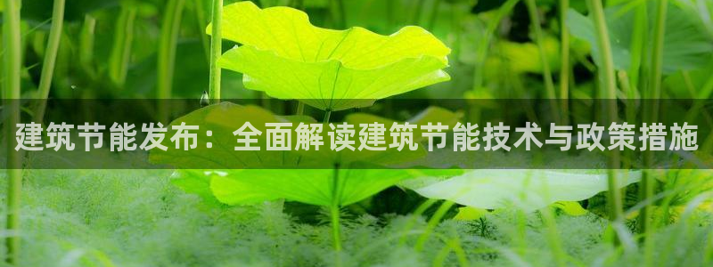 e尊国际官方网站：建筑节能发布：全面解读建筑节能技术与政策措施