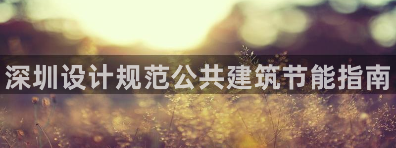 e尊国际官方网站：深圳设计规范公共建筑节能指南