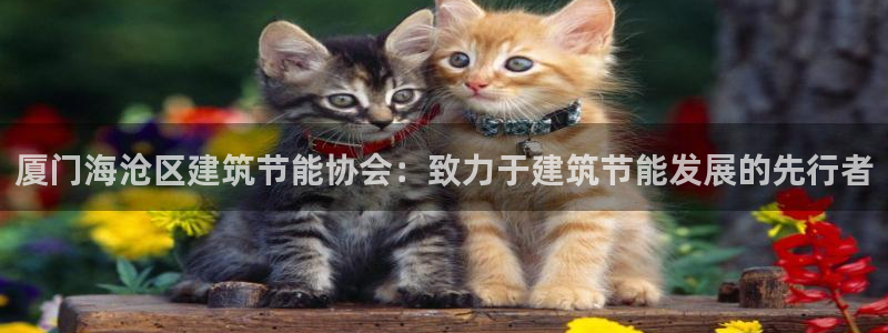 e尊电竞：厦门海沧区建筑节能协会：致力于建筑节能发展的先行者