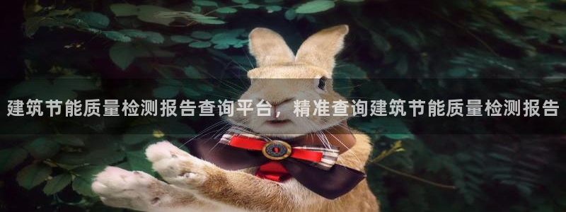 e尊国际官网·网址：建筑节能质量检测报告查询平台，精准查询建筑节能质量检测报告