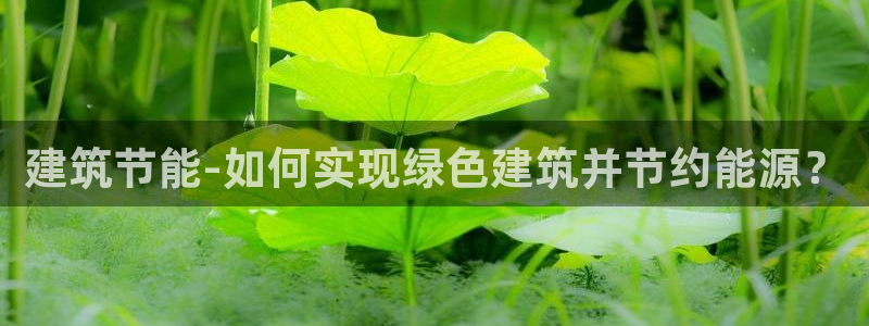 e尊国际网址：建筑节能-如何实现绿色建筑并节约能源？