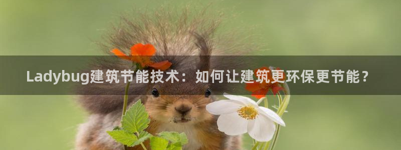 e尊国际官网·网址：Ladybug建筑节能技术：如何让建筑更环保更节能？