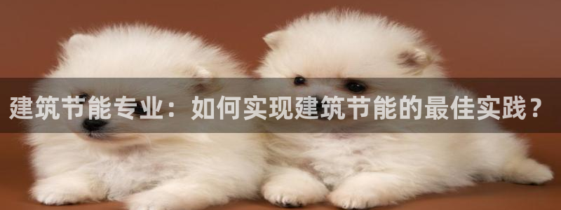 e尊国际是个黑网：建筑节能专业：如何实现建筑节能的最佳实践？