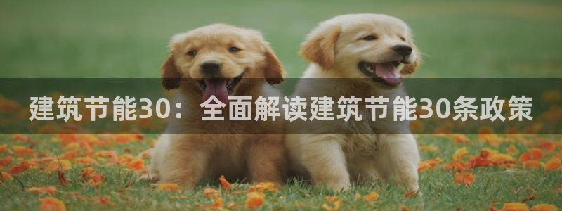 e尊国际娱乐官网下载