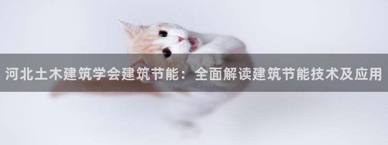 e尊国际官网·网址：河北土木建筑学会建筑节能：全面解读建筑节能技术及应用