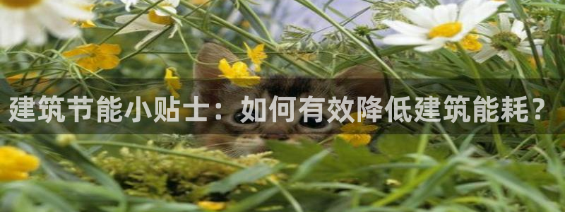 E尊国际：建筑节能小贴士：如何有效降低建筑能耗？