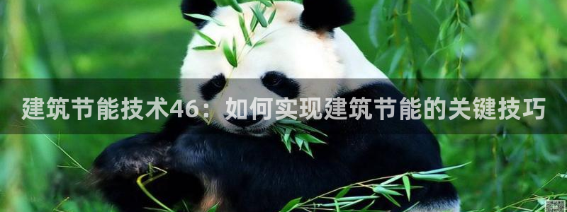 e尊国际官网：建筑节能技术46：如何实现建筑节能的关键技巧