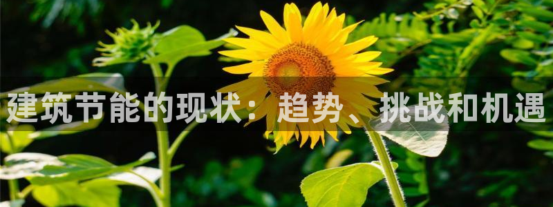 e尊国际官网·网址：建筑节能的现状：趋势、挑战和机遇