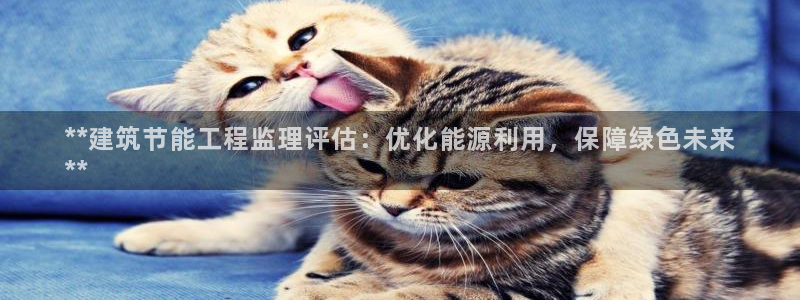 e尊电竞：**建筑节能工程监理评估：优化能源利用，保障绿色未来
**