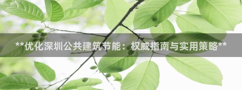e尊国际地址：**优化深圳公共建筑节能：权威指南与实用策略**