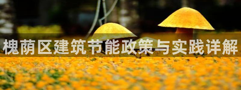 e尊国际客户端