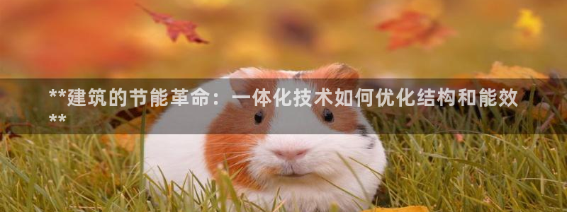 e尊国际客服：**建筑的节能革命：一体化技术如何优化结构和能效
**