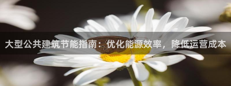 e尊电竞：大型公共建筑节能指南：优化能源效率，降低运营成本