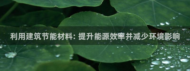 谁知道e尊国际的网址：利用建筑节能材料: 提升能源效率并减少环境影响