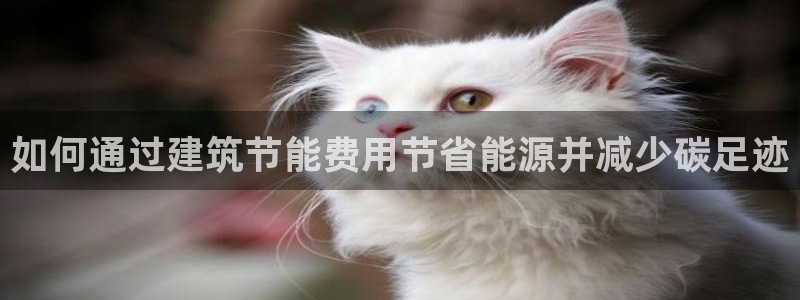 E尊国际网站：如何通过建筑节能费用节省能源并减少碳足迹