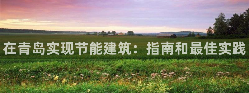 e尊国际app：在青岛实现节能建筑：指南和最佳实践