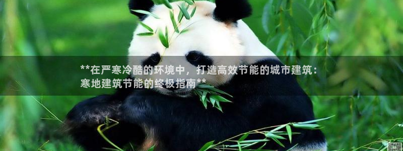 e尊国际娱乐官网地址