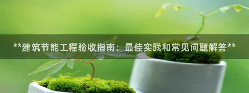 e尊官网：**建筑节能工程验收指南：最佳实践和常见问题解答**