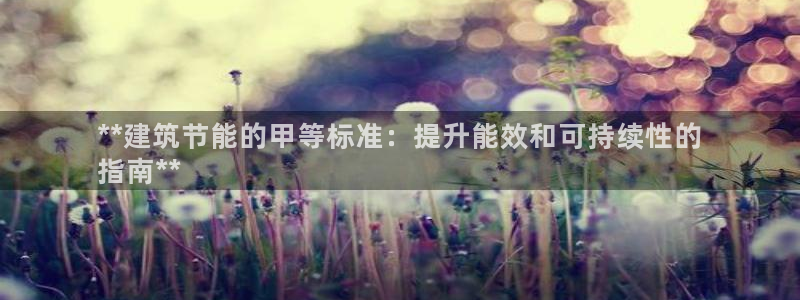 e尊国际是干什么的：**建筑节能的甲等标准：提升能效和可持续性的
指南**